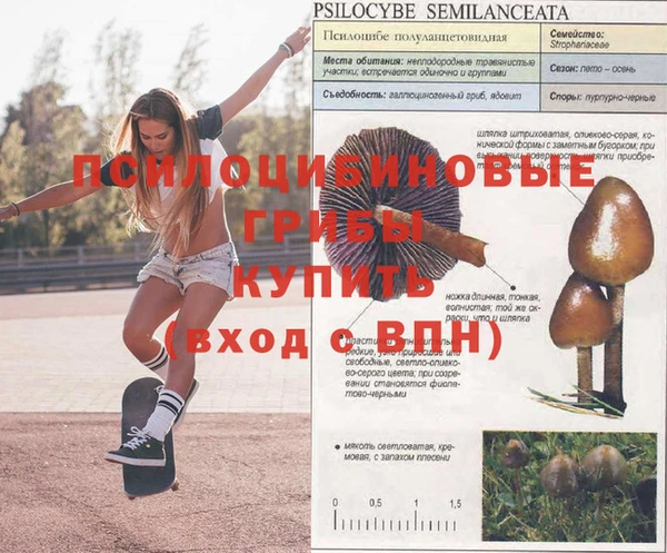 MDMA Богданович