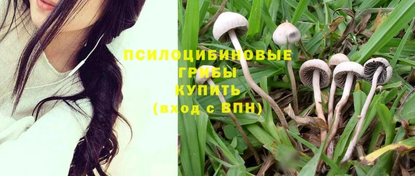 твердый Богородск