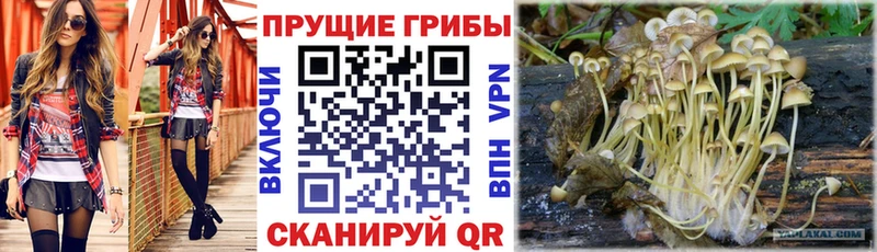 Псилоцибиновые грибы ЛСД  Красновишерск 
